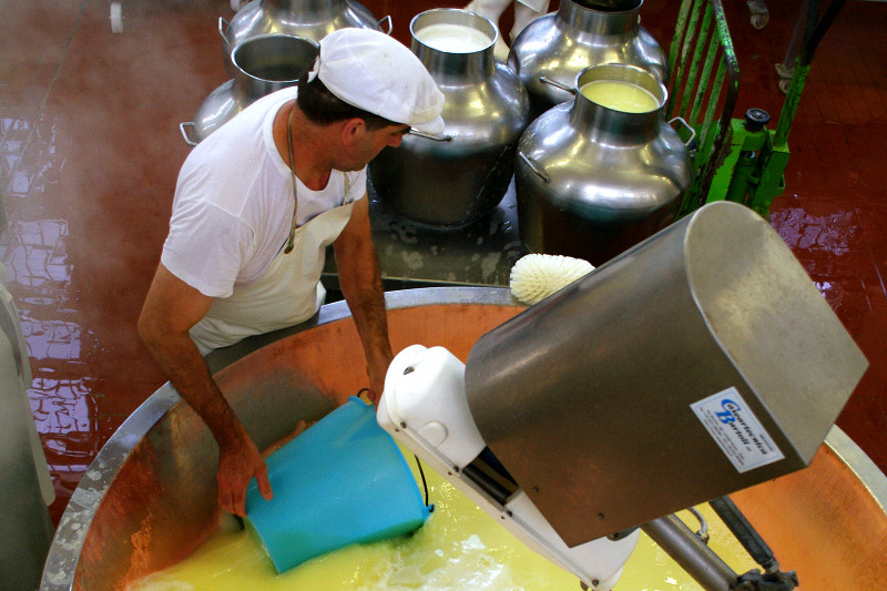 Whey being reserved as a starter for the next day's Parmigiano-Reggiano cheese