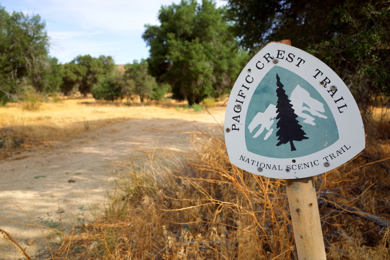 Northbound trail marker where the PCT crosses California County Route S22