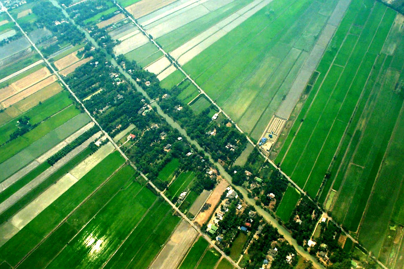  The paddies outside Bangkok