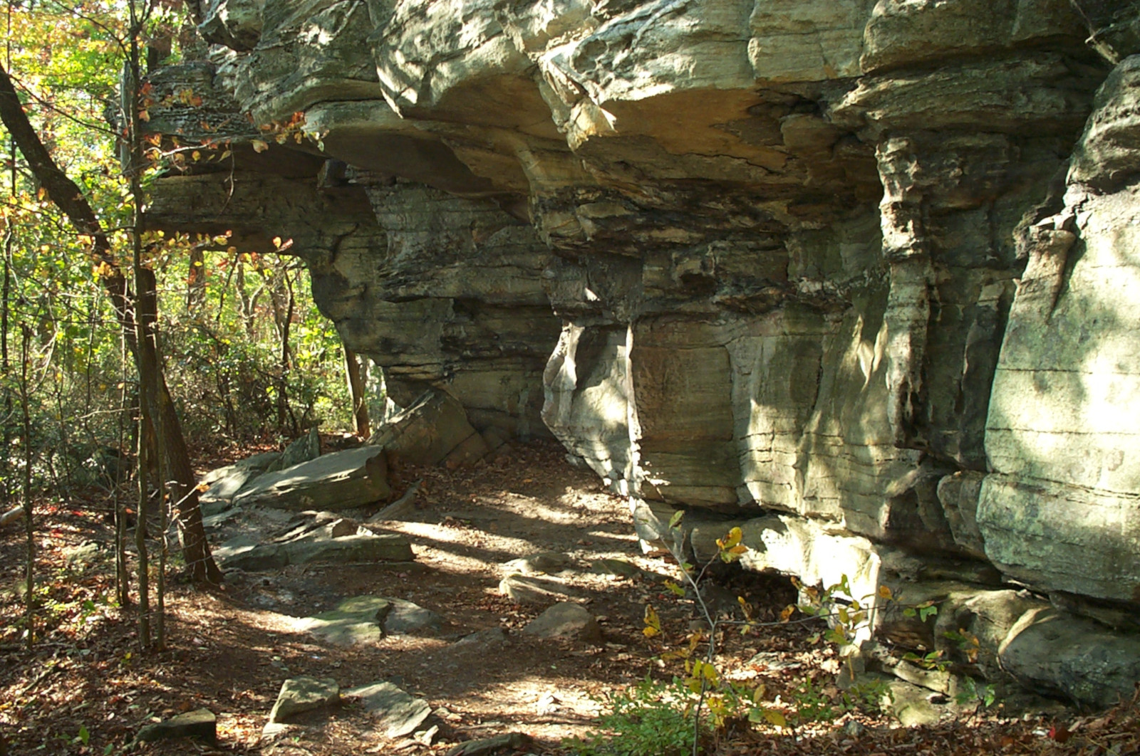 hiking along the strenuous ledge spring trail