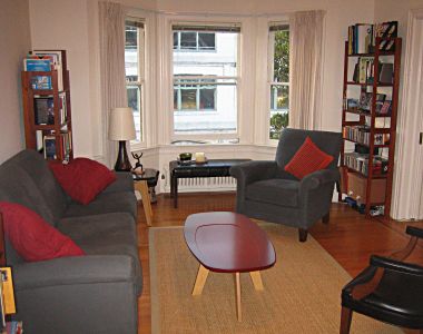 Pine Street Apartment living room furnished