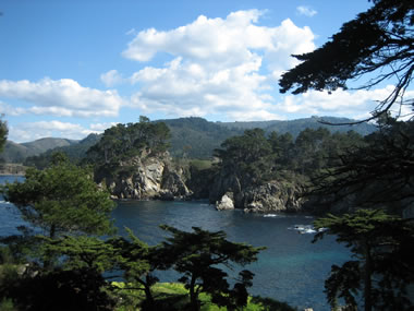 Cannery Point from across Bluefish Cove at Point Lobos State Reserve