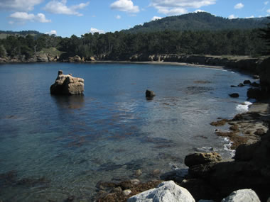 Whaler's Cove at Point Lobos State Reserve