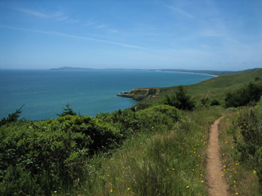 View of Point Reyes from the Sky Trail