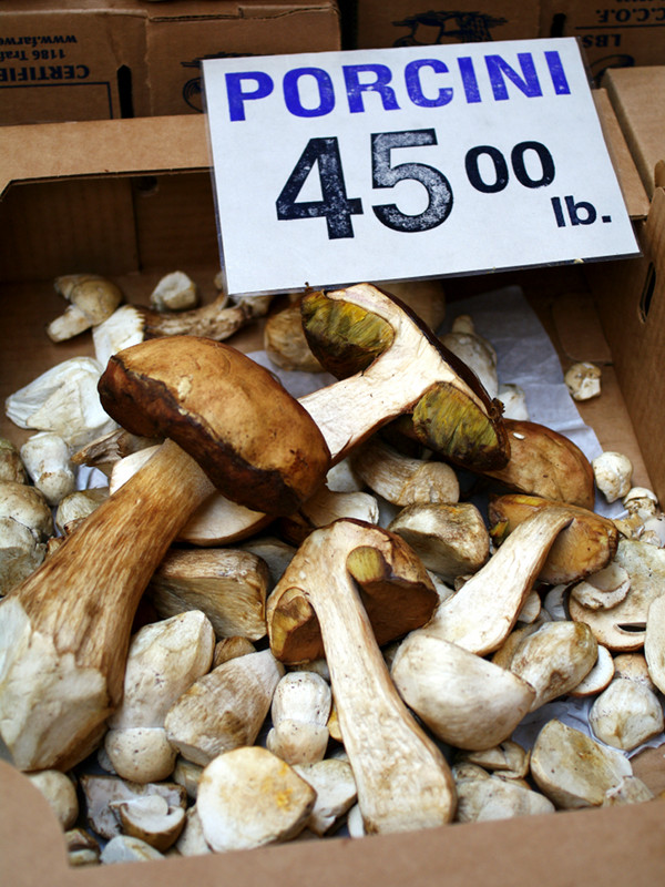 Porcinis for $45/pound at Far West Fungi in the San Francisco Ferry Building