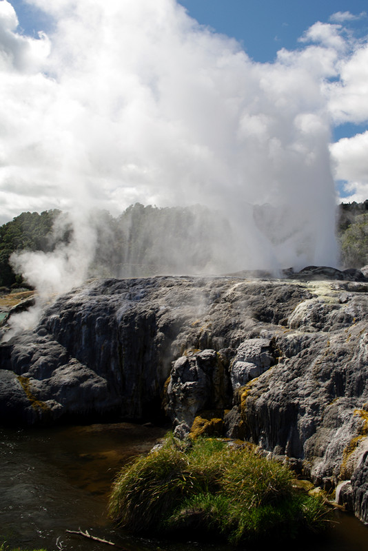 The Pohutu Geyser erupting