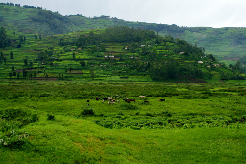 rwanda countryside 1