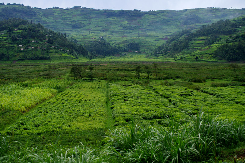 rwanda countryside 3