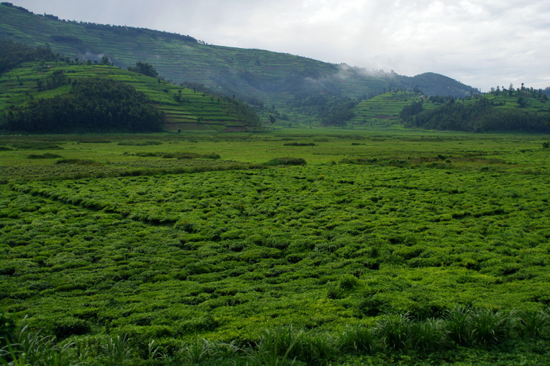rwanda countryside 4