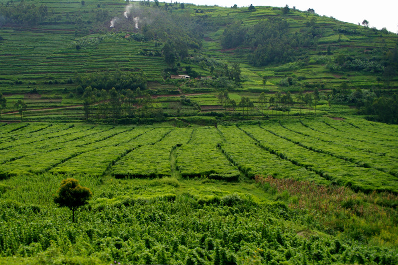 rwanda countryside 9