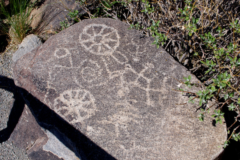 Signal Hill petroglyphs in Saguaro National Park