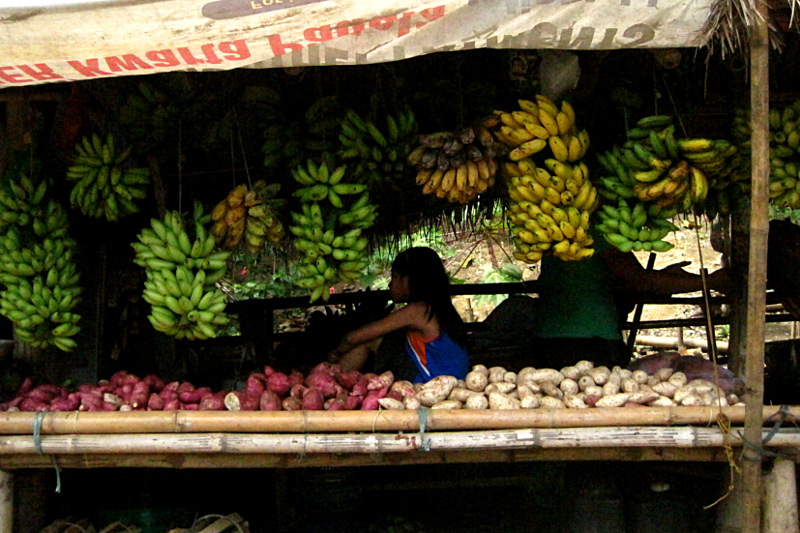 Roadside stand on the way to San Dionisio selling bananas and sweet potatoes