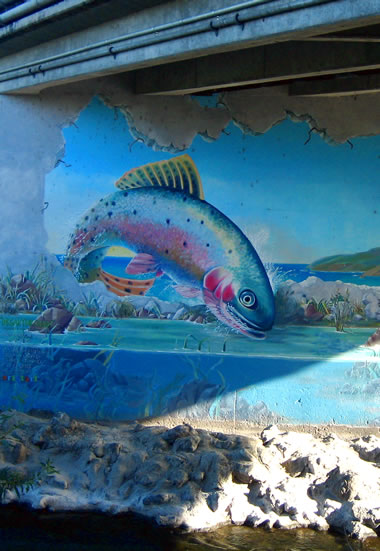 fish mural painted under railroad street in santa rosa, ca