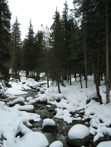 Marble Fork of the Kaweah River in Sequoia National Park