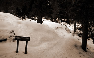 Tokopah Valley Trailhead at Sequoia National Park