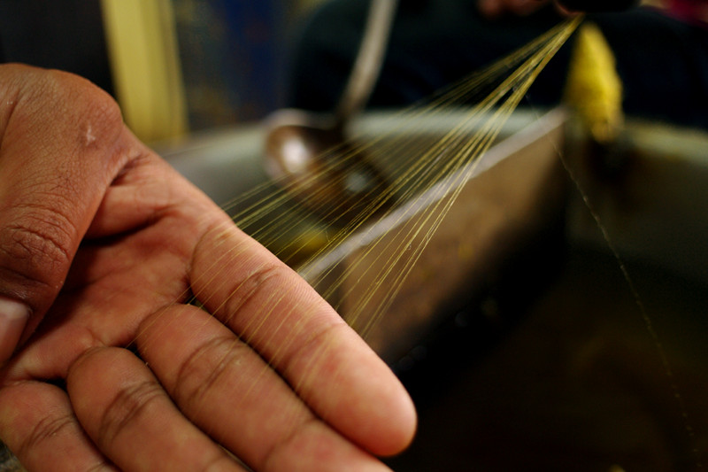 A single thread is made up of 40-60 strands of silk in Siem Reap, Cambodia