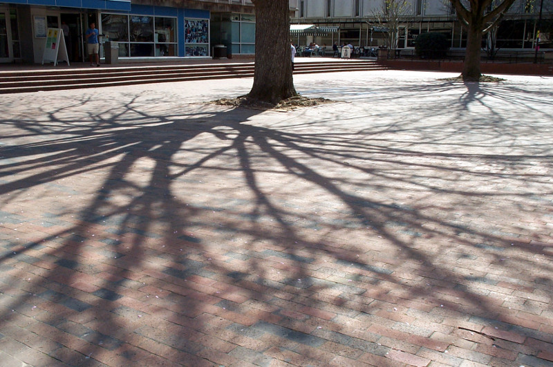 Shadows in The Pit on the campus of UNC in Chapel Hill, North Carolina