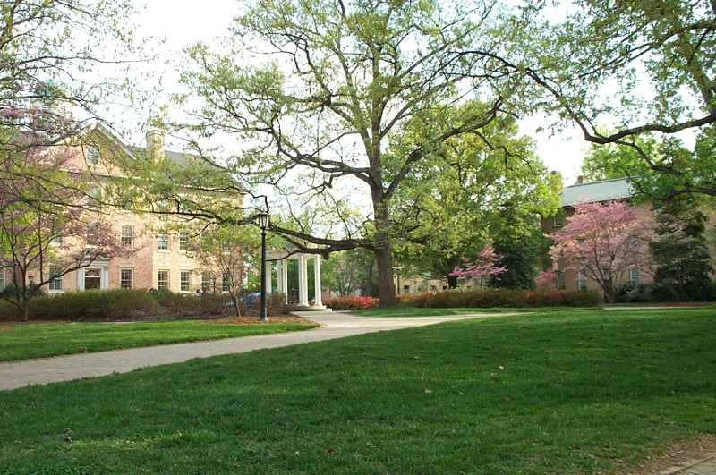 Spring on the campus of UNC in Chapel Hill, North Carolina