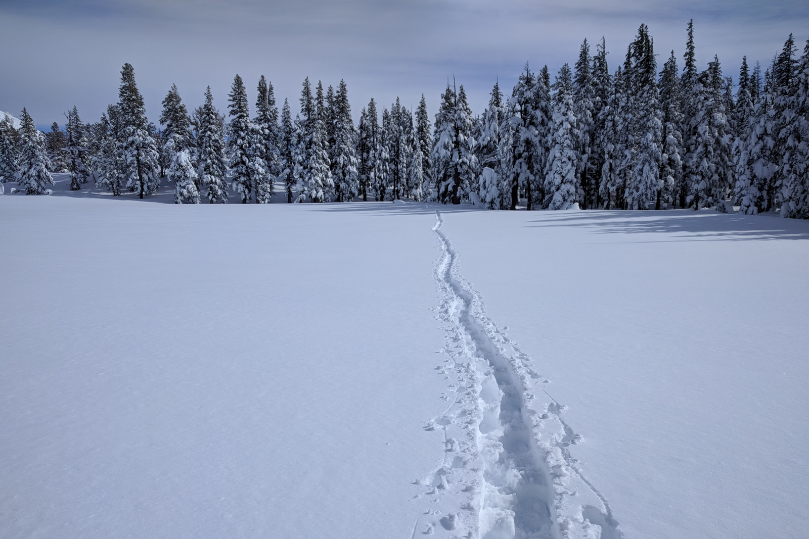 Snowshoe tracks across the meadow around Lake Tahoe, California