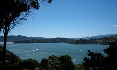 Tiburon and Belvedere as seen from Angel Island