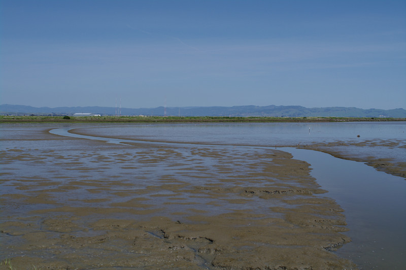 The mud flats around Tubbs Island at low tide (shot with polarizing filter)
