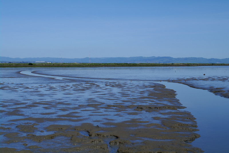 The mud flats around Tubbs Island at low tide (shot without polarizing filter)