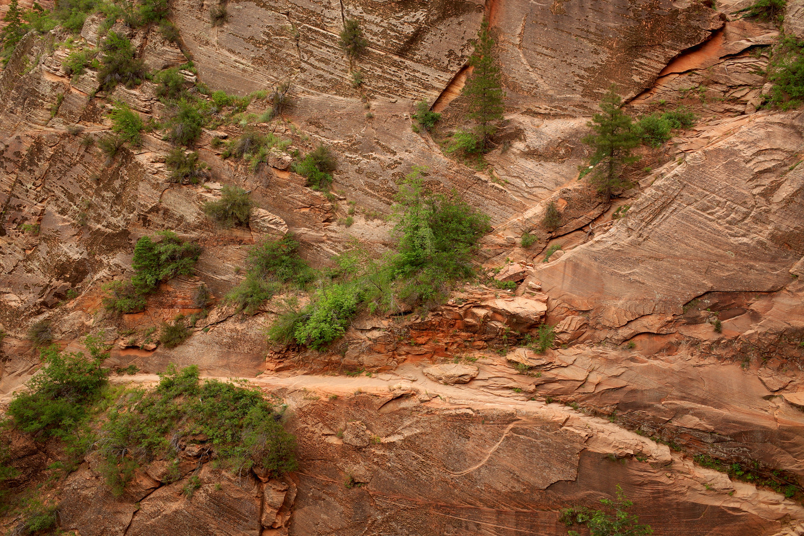 Hidden Canyon Trail in Zion National Park