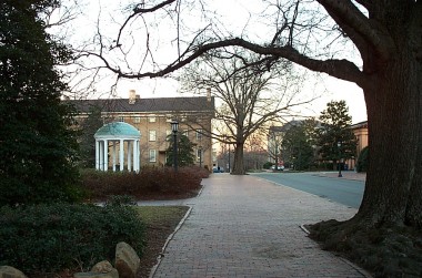 old well and tree