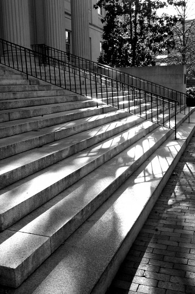 steps of wilson library