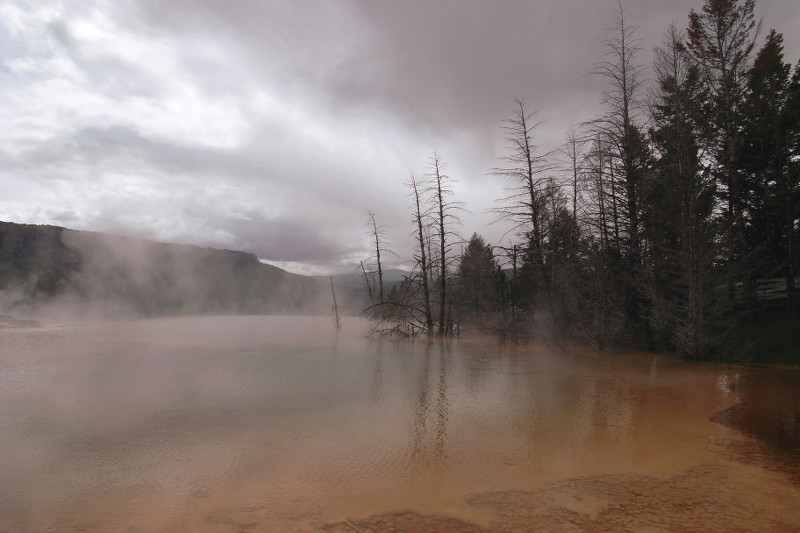 Spooky shot of Canary Spring