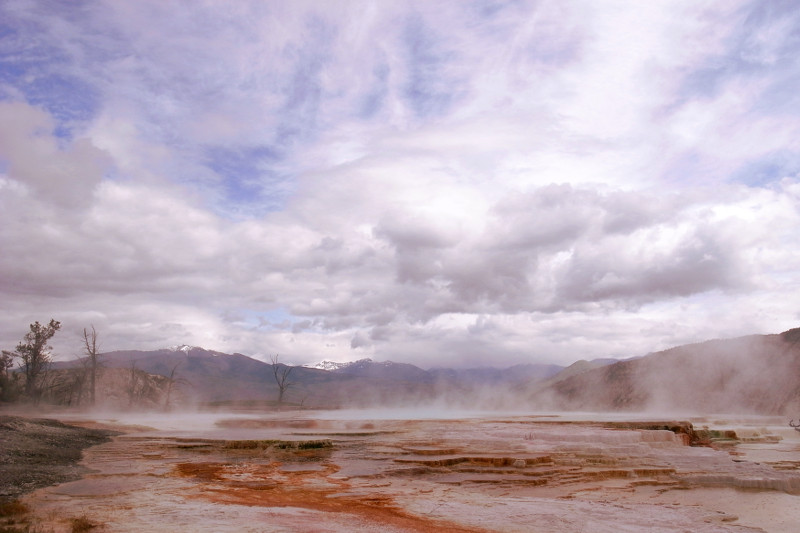 Main Terrace of Mammoth Hot Springs