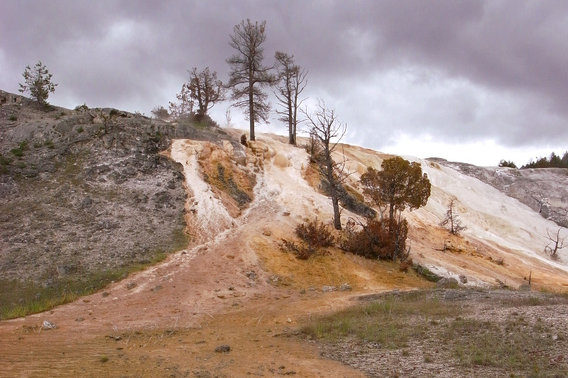 Runoff from Palette Spring