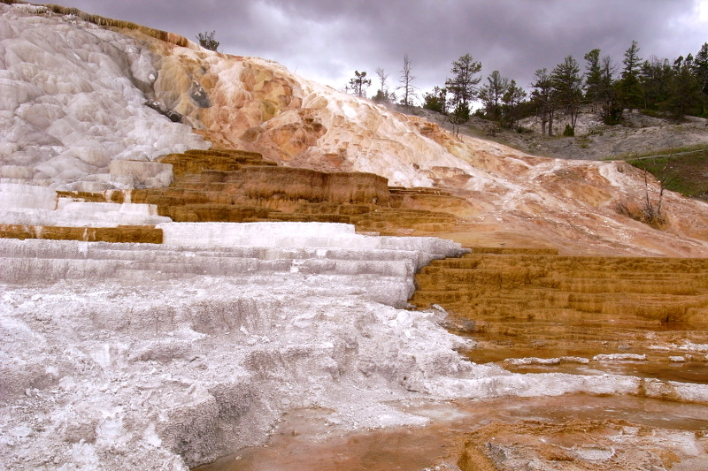 Mammoth Hot Springs' Palette Spring