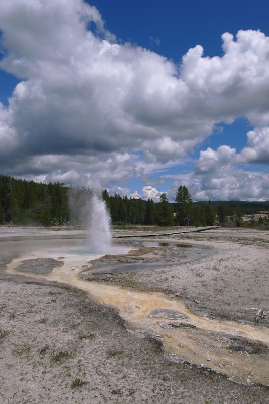 Sawmill Geyser