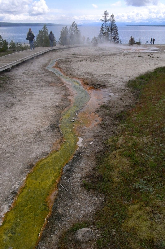 Runoff from the Seismograph Pool