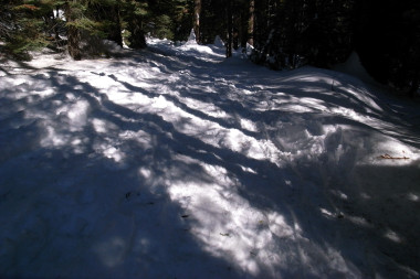 Artful shadows cutting across the trail