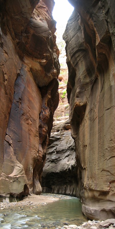 Vertical panorama of The Narrows in Zion National Park