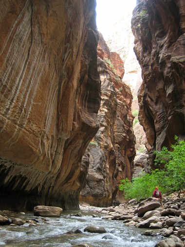View of The Narrows in Zion National Park