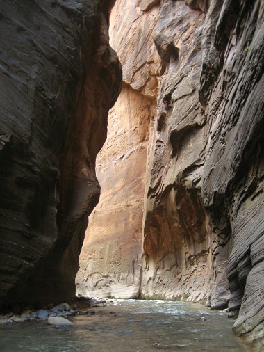 Yet another view of The Narrows in Zion National Park