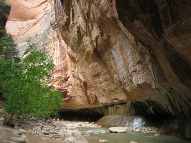 The last view of The Narrows in Zion National Park